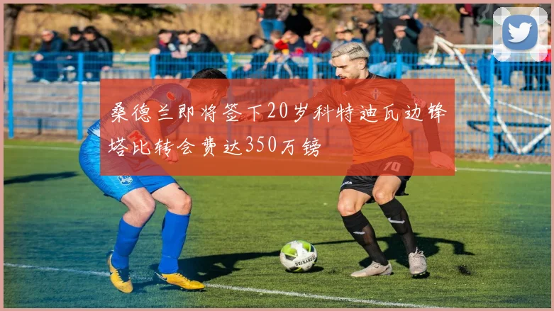桑德兰即将签下20岁科特迪瓦边锋塔比转会费达350万镑